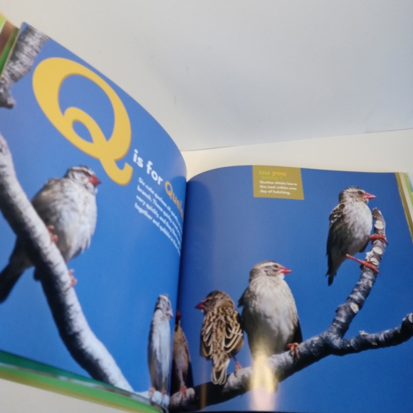 National geographic kids African animal alphabet book. Children's books - Picture 3 of 6